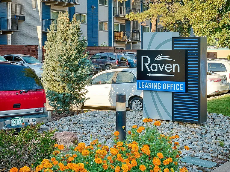 Raven — Photo 23