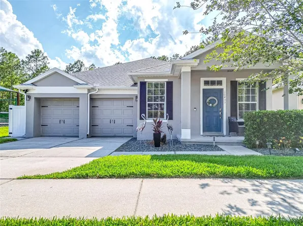 10433 Eastpark Woods Dr, Orlando, FL 32832