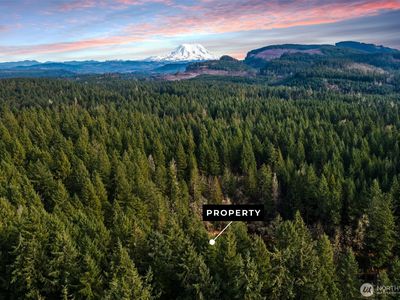 17820 Pondside Court, Yelm, WA, 98597