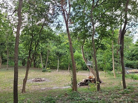 Looking from back door towards creek.