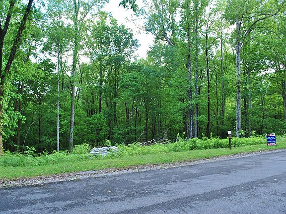 3rd image of 0 Swiper Dr Lot 328