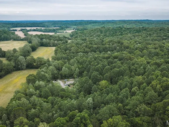 0 Yellow Springs Rd, Cave In Rock, IL 62919