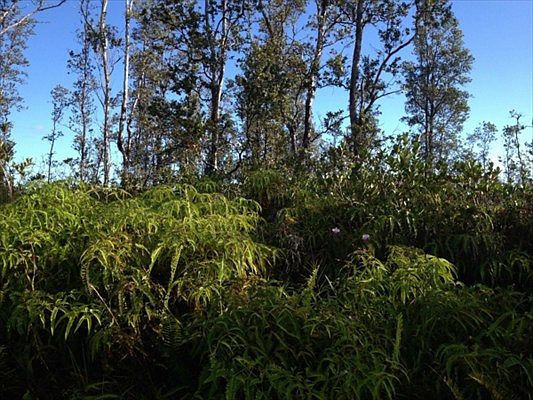 1st image of Lanai St Lot 670