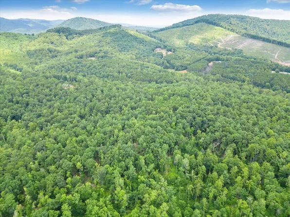 TRACT Gatewood Ln #D, Ferrum, VA 24088