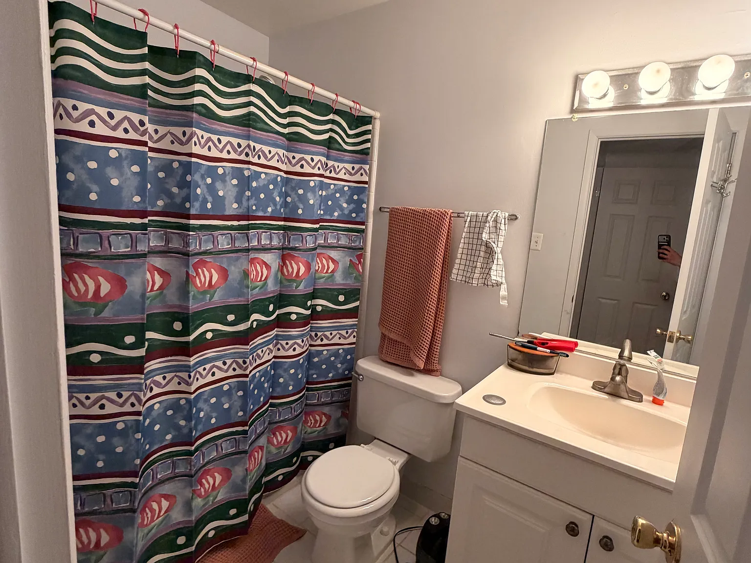 1 bed, 556 sqft, $1,450 — Photo 4
