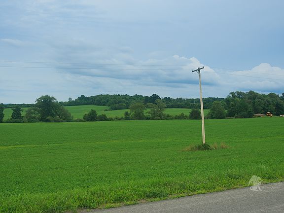Road front alfalfa field