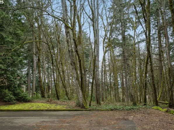 Larch St Lot 6, Lake Oswego, OR 97034