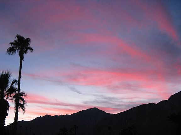 sunset over backyard
