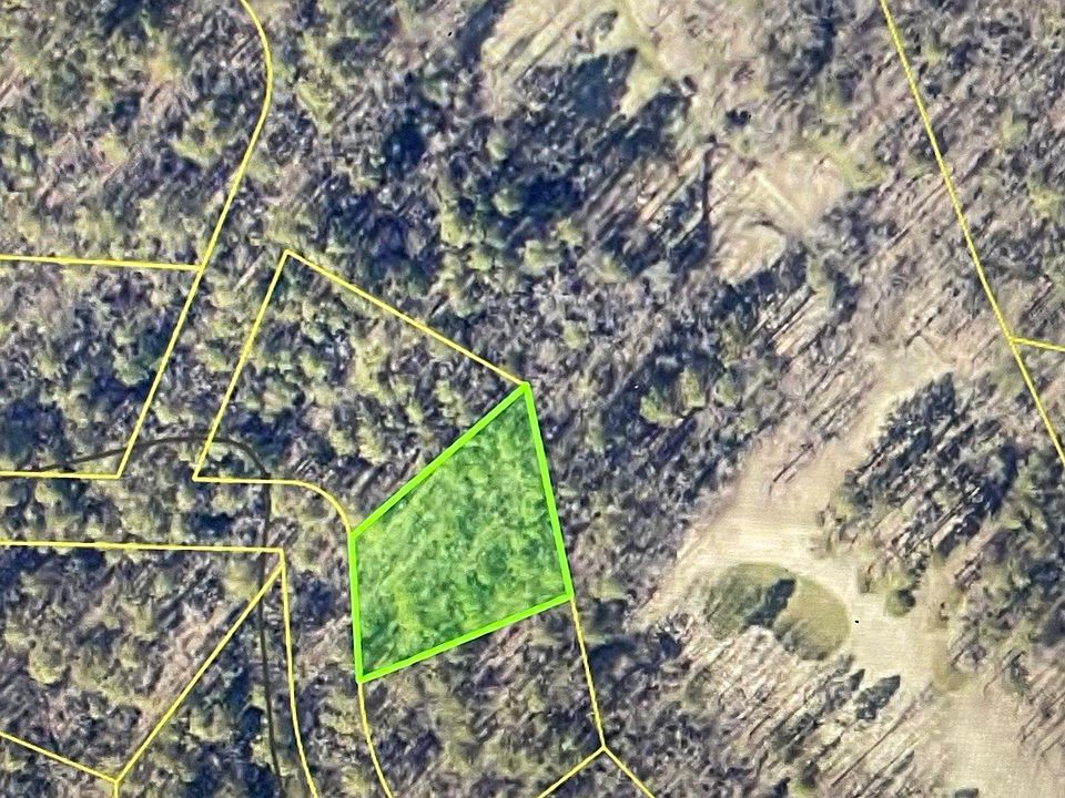 2nd image of 123 Tannenbaum Rd