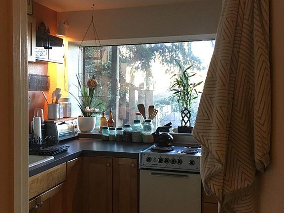 Kitchen Window