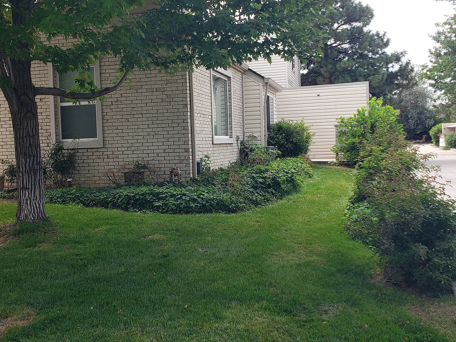 2 bed, 1.5 bath, 975 sqft, $2,800 — Photo 2