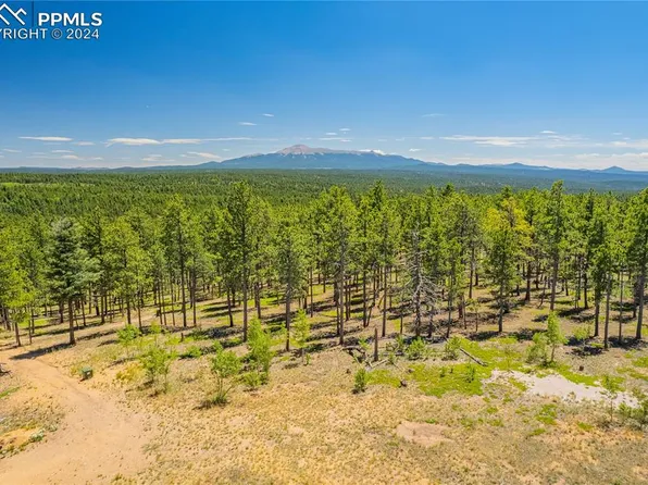 County Rd Unit 1, Florissant, CO 80816