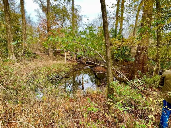 0 E Us Highway 84, Gordon, AL 36343