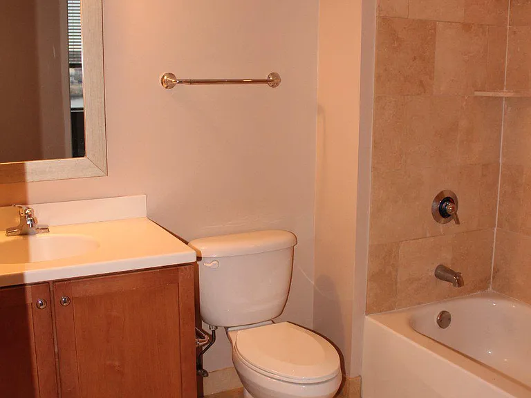 105 Christina Landing Dr #1703 — Photo 21