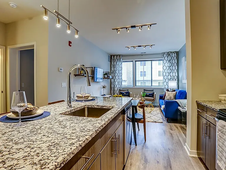 Kitchen/Living Area