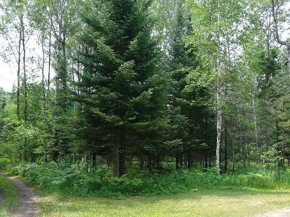 2nd image of Mershon Trail 3.62 Acres