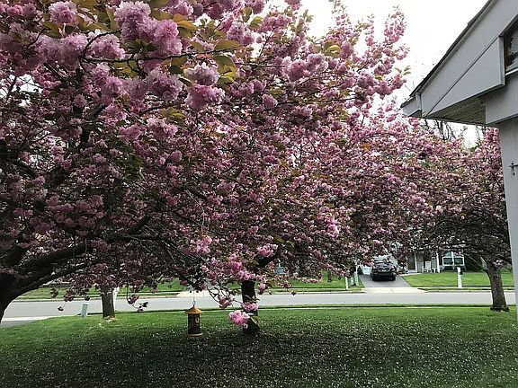 2nd image of 25 Beaver Hollow Dr