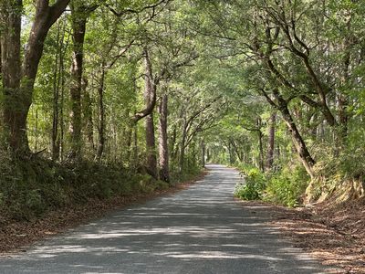 811/AC Old River Rd, Baker, FL, 32531