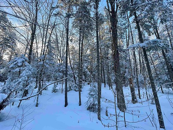 5th image of 00 Mountain Road