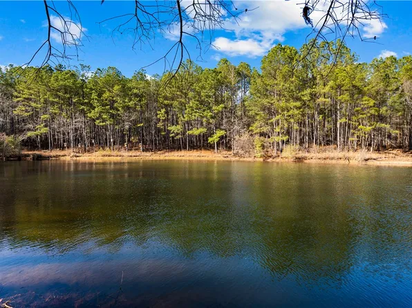 TRACT Two #877, McKee Road, GA