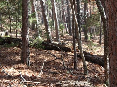 5 Cross St #5, Eureka Springs, AR, 72632