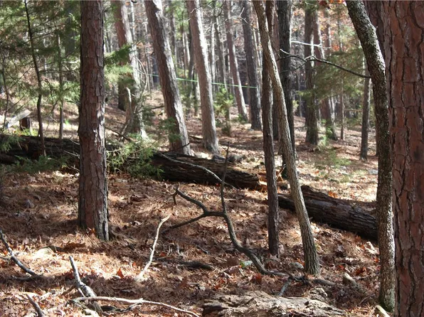 5 Cross St #5, Eureka Springs, AR 72632