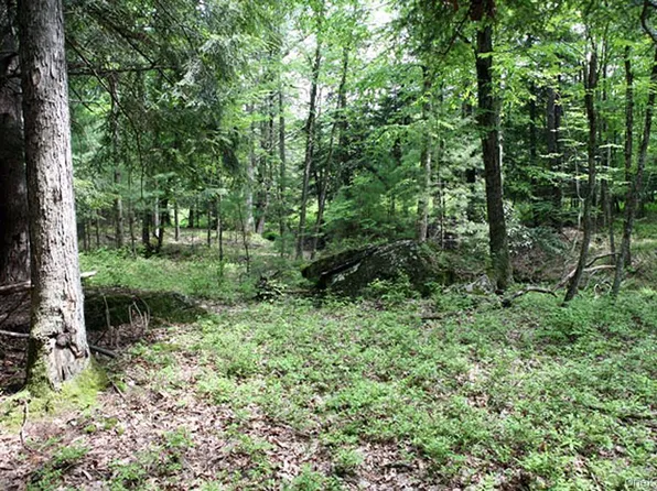 0 Neighborhood Road, Shirley, NY 11967