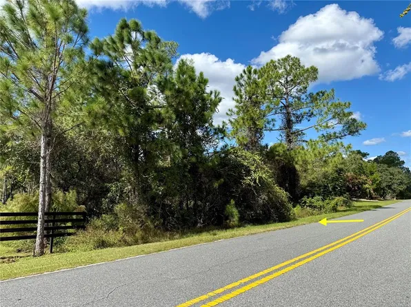 LOT 11 Royal Trails Rd Lot 11, Eustis, FL 32736