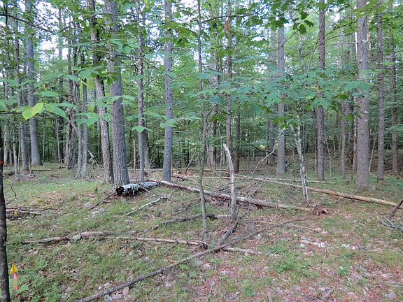3rd image of 38 Algonquin Ln