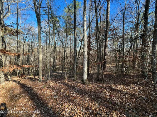 Lots 33 34 35 36 Beach Island Trce, Dadeville, AL 36853