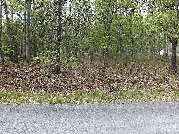 5th image of Fawnwood Ct