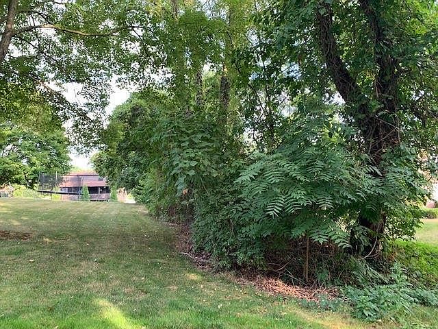 2nd image of 2236 Neish Ave