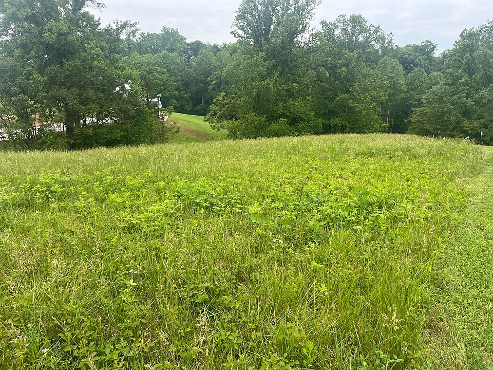 2nd image of 0 Cahas Summit Rd
