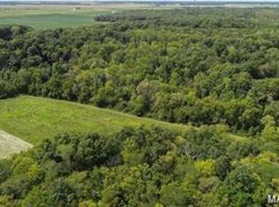 364 N 7th Ln, Fillmore, IL 62032