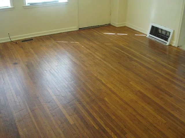 1 bed, 548 sqft, $1,065 — Photo 2