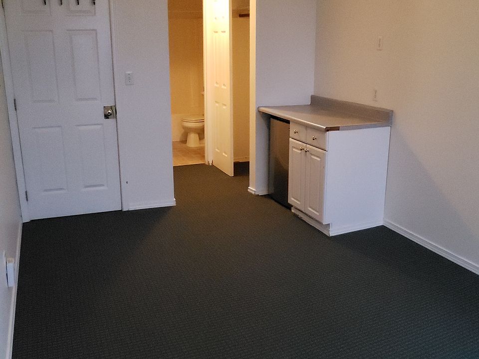 Studio looking towards closet and bathroom at far end. Studio comes with cabinet and small fridge