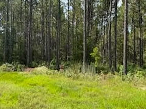 228 Private Road 8010, Pineland, TX 75968