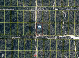 2250 Iris Ave, Sebring, FL 33875