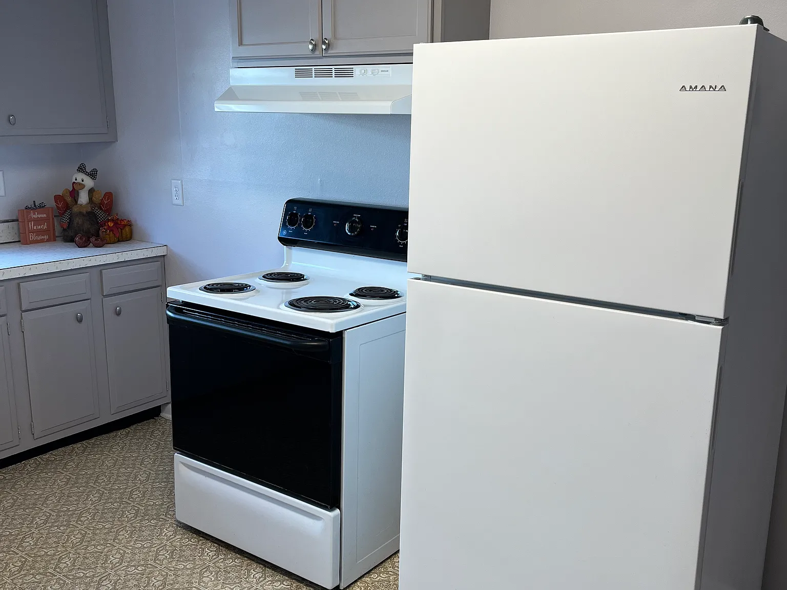 2 bed, 875 sqft, $1,189 — Photo 4