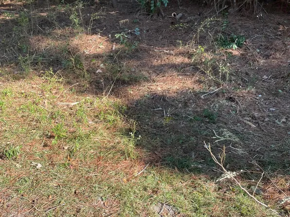 0 Norma Ln, Jasper, AL 35504