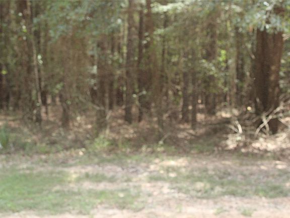 5th image of 0 Collier Trl
