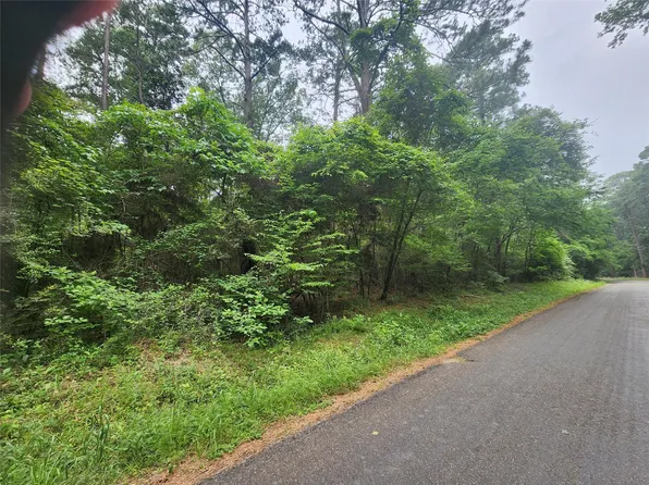 207 Long King, Livingston, TX 77351