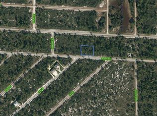 3421 Plover Ave, Lake Placid, FL 33852