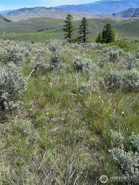 3rd image of 2 TBD Ellemeham Mountain Road