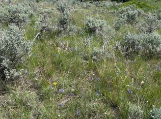 3 Ellemeham Mountain Rd, Oroville, WA 98844