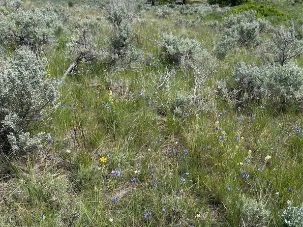 3 TBD Ellemeham Mountain Road, Oroville, WA 98844