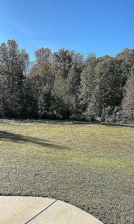 2nd image of 221 Old Shealy Rd