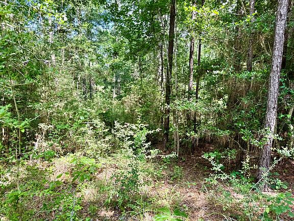 2nd image of Spring Creek Ln