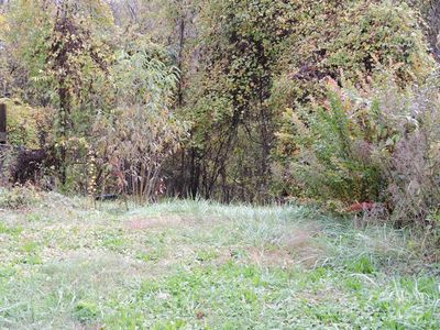 43 Argyle Ln, Asheville City, NC, 28806