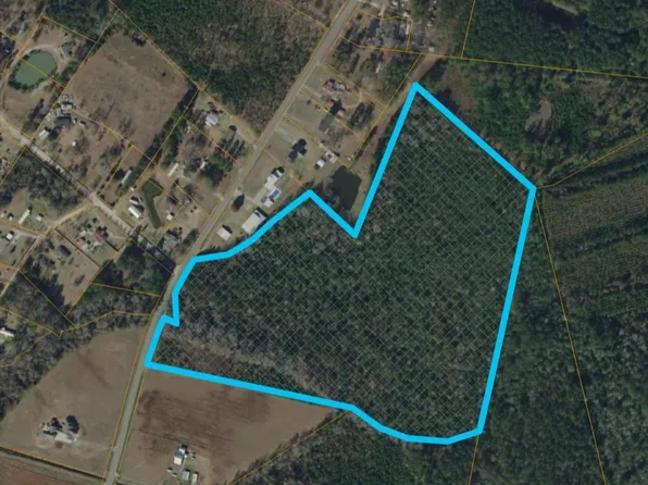 TBD Parcel 2 Amber Ln., Galivants Ferry, SC 29544